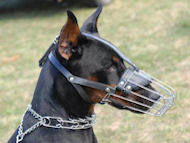 Medium Wire Basket Dog for all Breeds Medium Wire Basket Dog for all Breeds