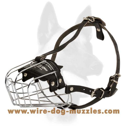 wire basket dog muzzle