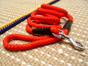 Cord nylon dog leash-dog lead [L20 - Nylon cord dog leash] : Wire